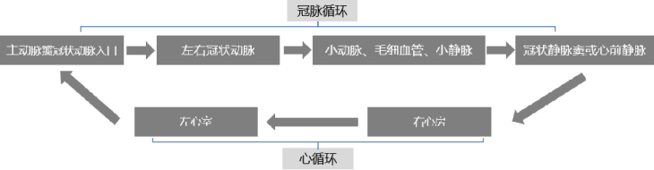 安徽正華動(dòng)物實(shí)驗(yàn)儀器