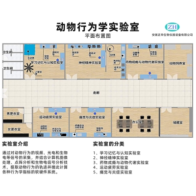 ZH-SBS型動物行為實(shí)驗(yàn)站 - 行為學(xué)實(shí)驗(yàn)室整體解決方案