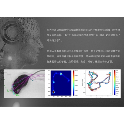 ZH-AI3000 動(dòng)物精細(xì)行為分析系統(tǒng)